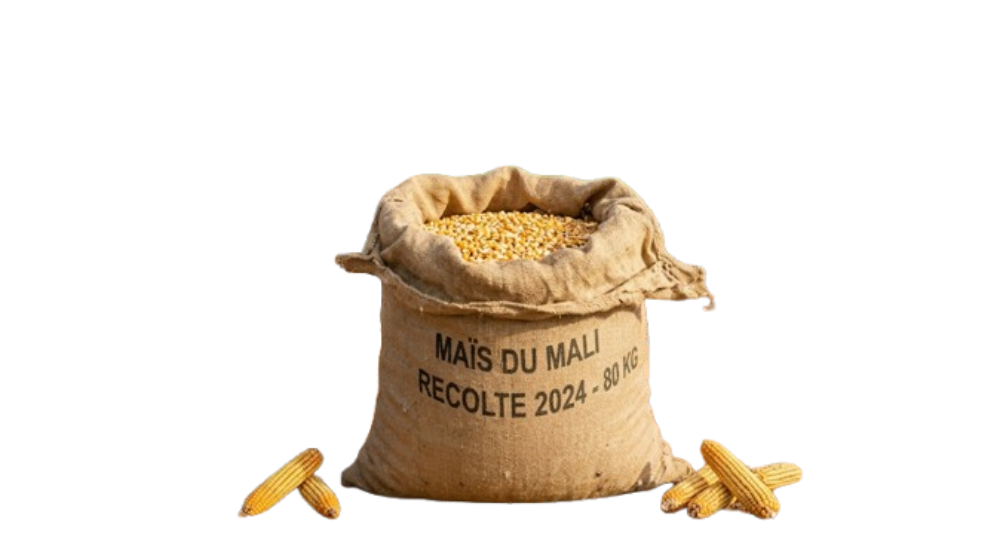 Mil, Sorgho & Maïs